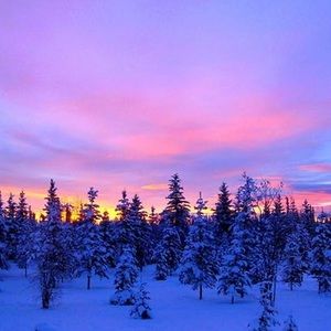 Meet your Posher, Jane